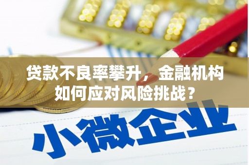 阿勒泰贷款不良率攀升，金融机构如何应对风险挑战？