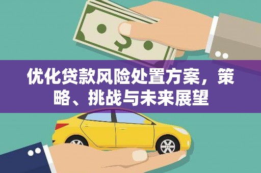 阿勒泰优化贷款风险处置方案，策略、挑战与未来展望