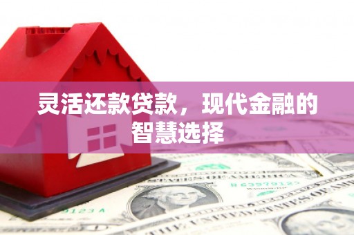 阿勒泰灵活还款贷款，现代金融的智慧选择