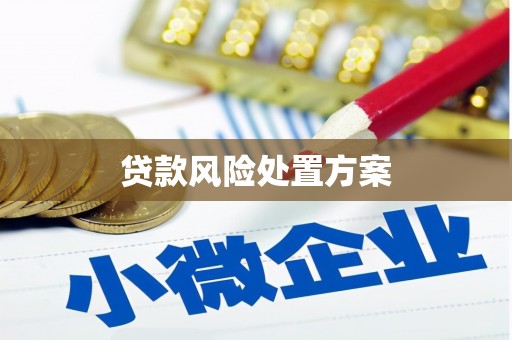 阿勒泰贷款风险处置方案