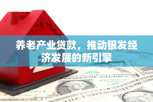 阿勒泰养老产业贷款，推动银发经济发展的新引擎