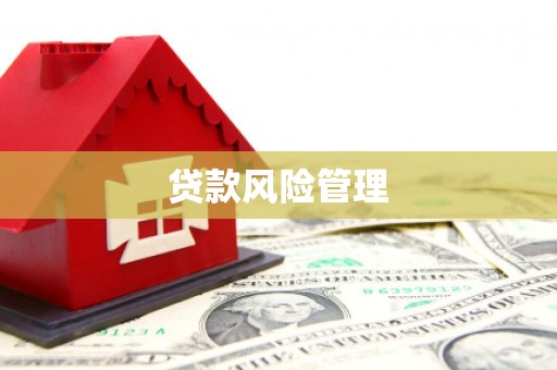 阿勒泰贷款风险管理