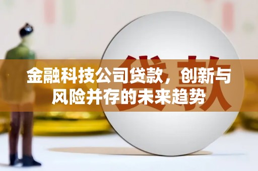 阿勒泰金融科技公司贷款，创新与风险并存的未来趋势