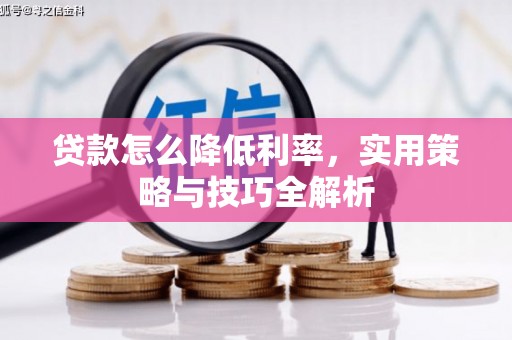 阿勒泰贷款怎么降低利率，实用策略与技巧全解析