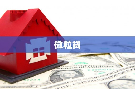 阿勒泰微粒贷