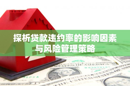 阿勒泰探析贷款违约率的影响因素与风险管理策略