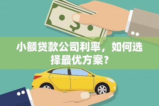 阿勒泰小额贷款公司利率，如何选择最优方案？