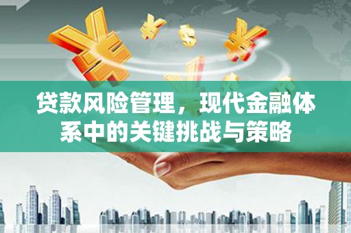阿勒泰贷款风险管理，现代金融体系中的关键挑战与策略
