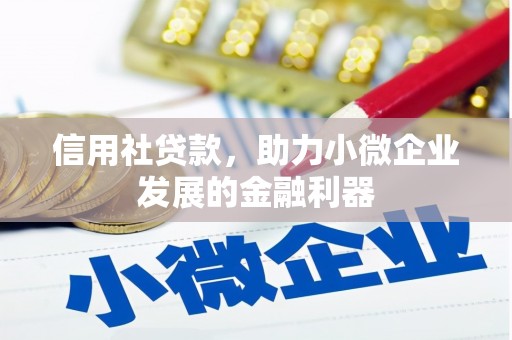 阿勒泰信用社贷款，助力小微企业发展的金融利器