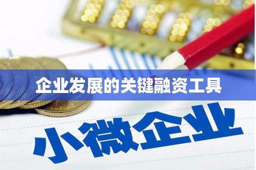 阿勒泰企业发展的关键融资工具