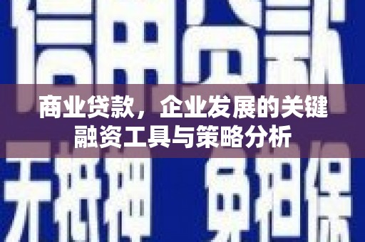阿勒泰商业贷款，企业发展的关键融资工具与策略分析