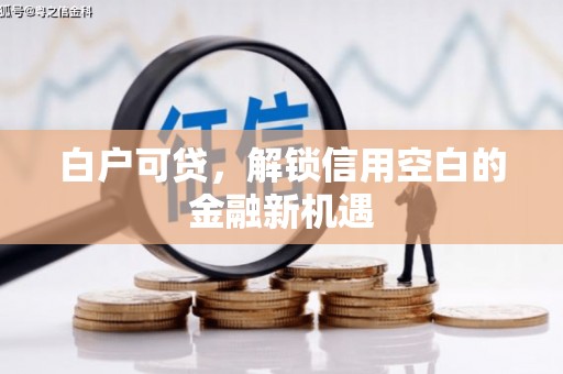阿勒泰白户可贷，解锁信用空白的金融新机遇