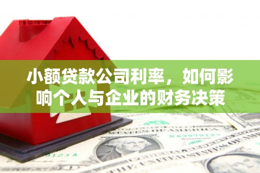阿勒泰小额贷款公司利率，如何影响个人与企业的财务决策