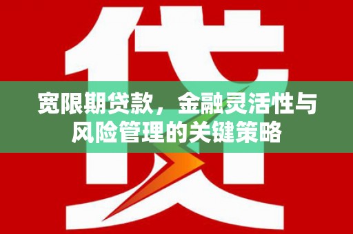 阿勒泰宽限期贷款，金融灵活性与风险管理的关键策略