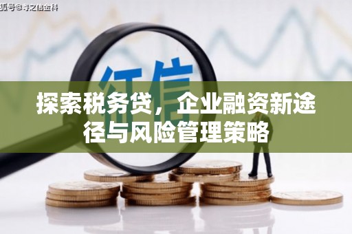 阿勒泰探索税务贷，企业融资新途径与风险管理策略