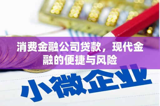 阿勒泰消费金融公司贷款，现代金融的便捷与风险