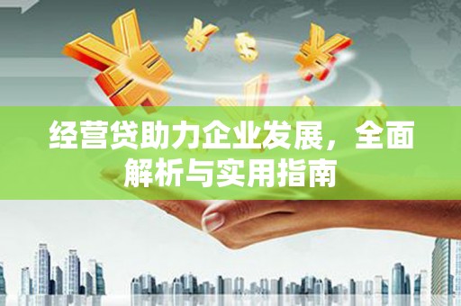 阿勒泰经营贷助力企业发展，全面解析与实用指南