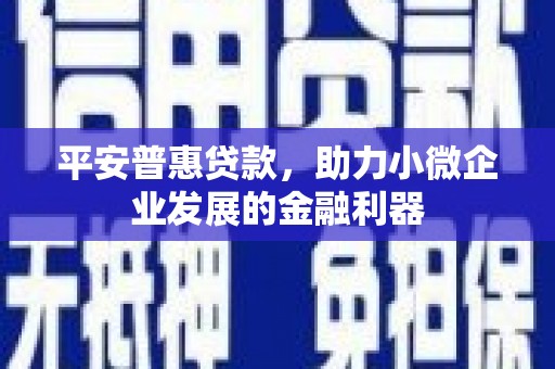 阿勒泰平安普惠贷款，助力小微企业发展的金融利器