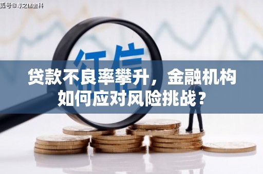 阿勒泰贷款不良率攀升，金融机构如何应对风险挑战？