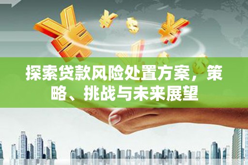 阿勒泰探索贷款风险处置方案，策略、挑战与未来展望
