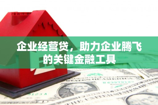 阿勒泰企业经营贷，助力企业腾飞的关键金融工具