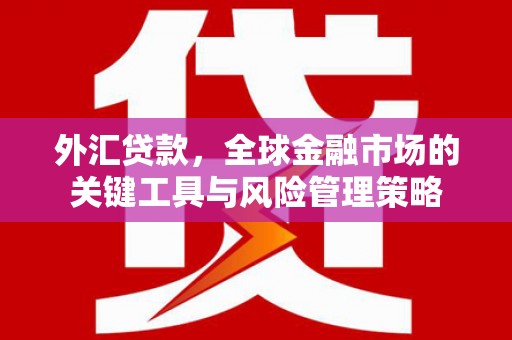 阿勒泰外汇贷款，全球金融市场的关键工具与风险管理策略