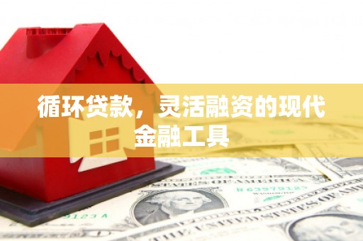 阿勒泰循环贷款，灵活融资的现代金融工具