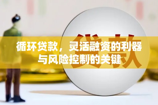 阿勒泰循环贷款，灵活融资的利器与风险控制的关键