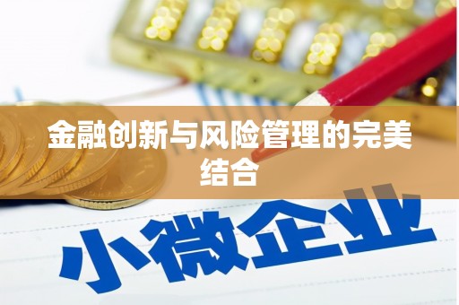 阿勒泰金融创新与风险管理的完美结合
