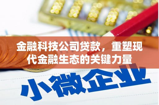 阿勒泰金融科技公司贷款，重塑现代金融生态的关键力量