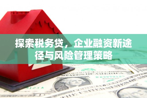 阿勒泰探索税务贷，企业融资新途径与风险管理策略