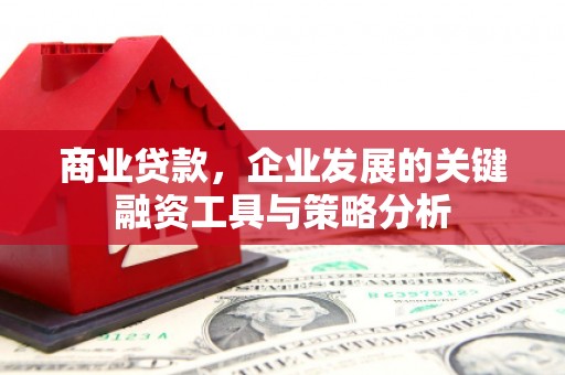 阿勒泰商业贷款，企业发展的关键融资工具与策略分析