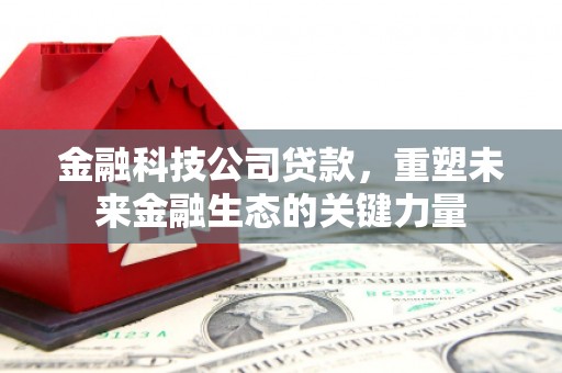 阿勒泰金融科技公司贷款，重塑未来金融生态的关键力量