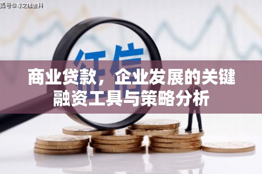 阿勒泰商业贷款，企业发展的关键融资工具与策略分析