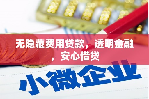 阿勒泰无隐藏费用贷款，透明金融，安心借贷