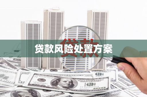阿勒泰贷款风险处置方案