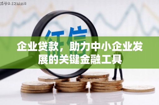 阿勒泰企业贷款，助力中小企业发展的关键金融工具