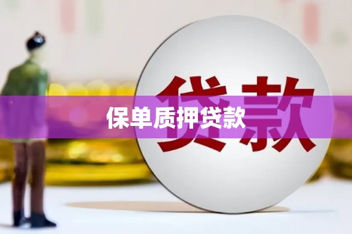 阿勒泰保单质押贷款