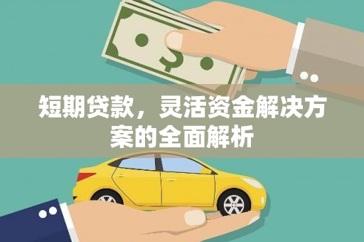 阿勒泰短期贷款，灵活资金解决方案的全面解析