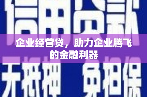 阿勒泰企业经营贷，助力企业腾飞的金融利器