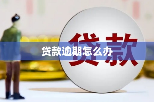 阿勒泰贷款逾期怎么办