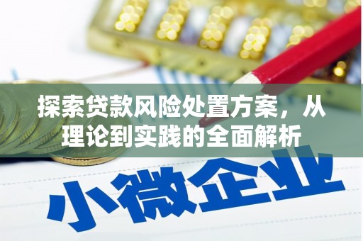 阿勒泰探索贷款风险处置方案，从理论到实践的全面解析