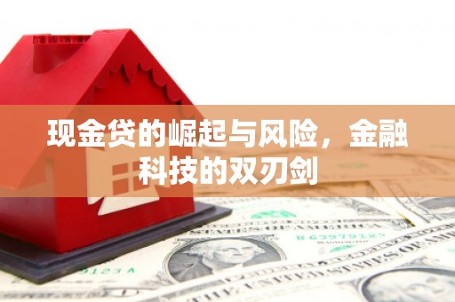 阿勒泰现金贷的崛起与风险，金融科技的双刃剑