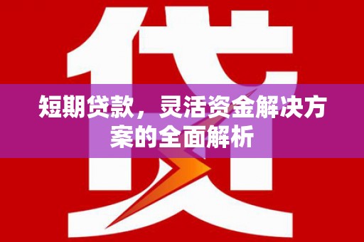 阿勒泰短期贷款，灵活资金解决方案的全面解析