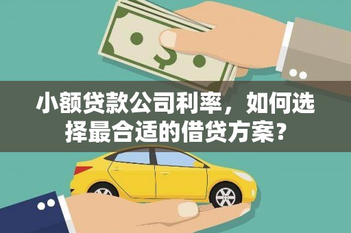 阿勒泰小额贷款公司利率，如何选择最合适的借贷方案？