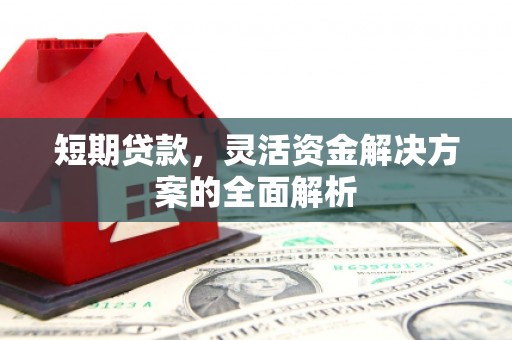 阿勒泰短期贷款，灵活资金解决方案的全面解析