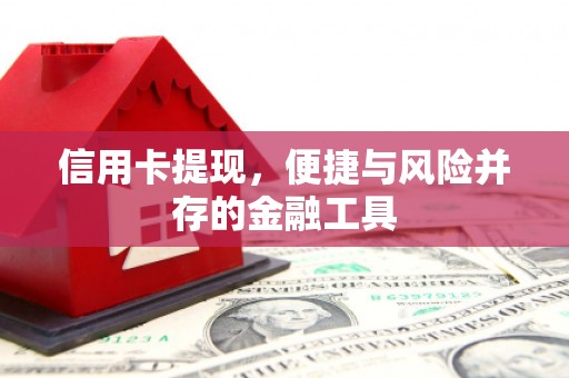 阿勒泰信用卡提现，便捷与风险并存的金融工具