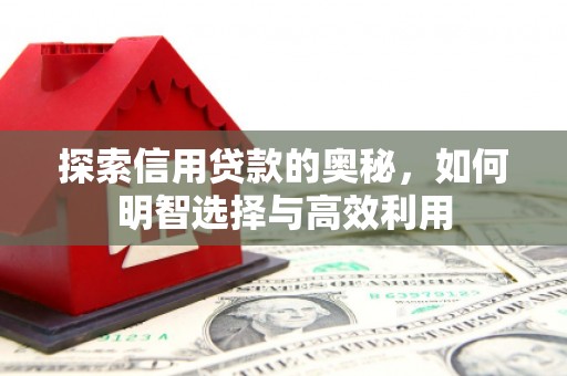 阿勒泰探索信用贷款的奥秘，如何明智选择与高效利用