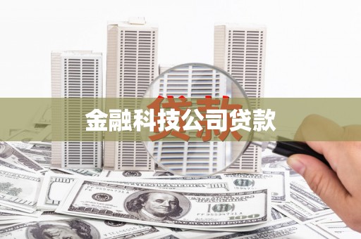 阿勒泰金融科技公司贷款