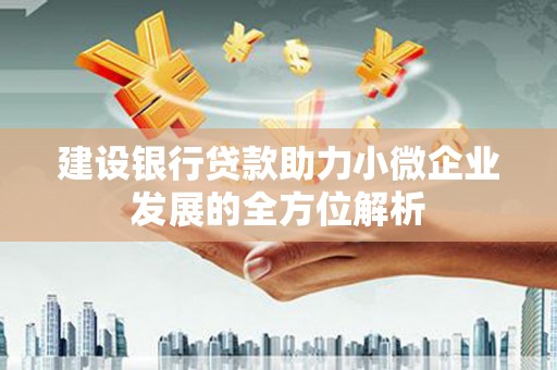 阿勒泰建设银行贷款助力小微企业发展的全方位解析
